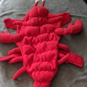 Lobster Costume for Small Dog